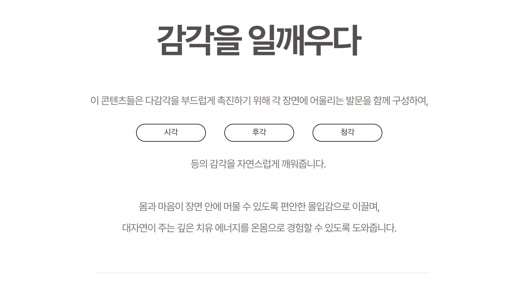 스누젤렌 영상 상세페이지 6